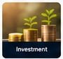 Investment